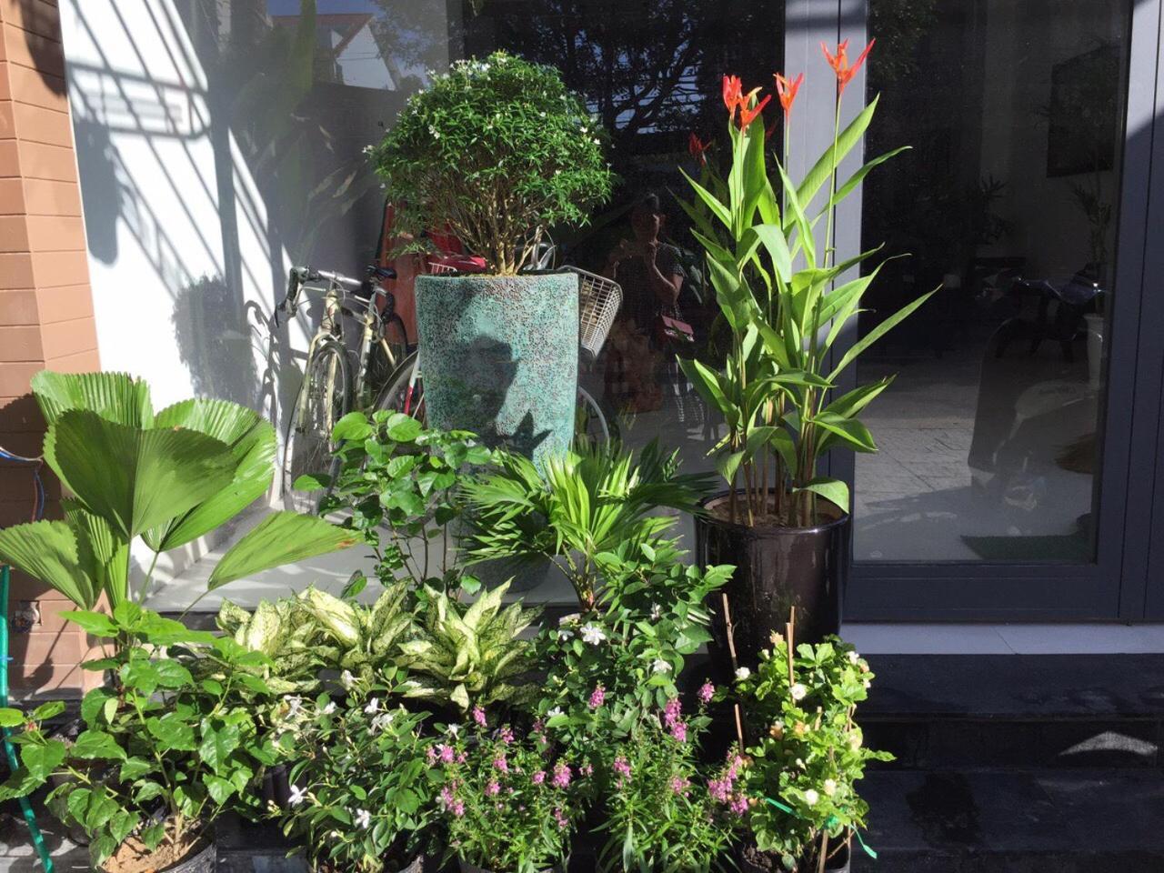 La An Homestay Hoi An Dış mekan fotoğraf
