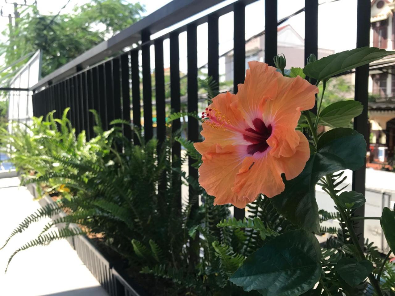 La An Homestay Hoi An Dış mekan fotoğraf
